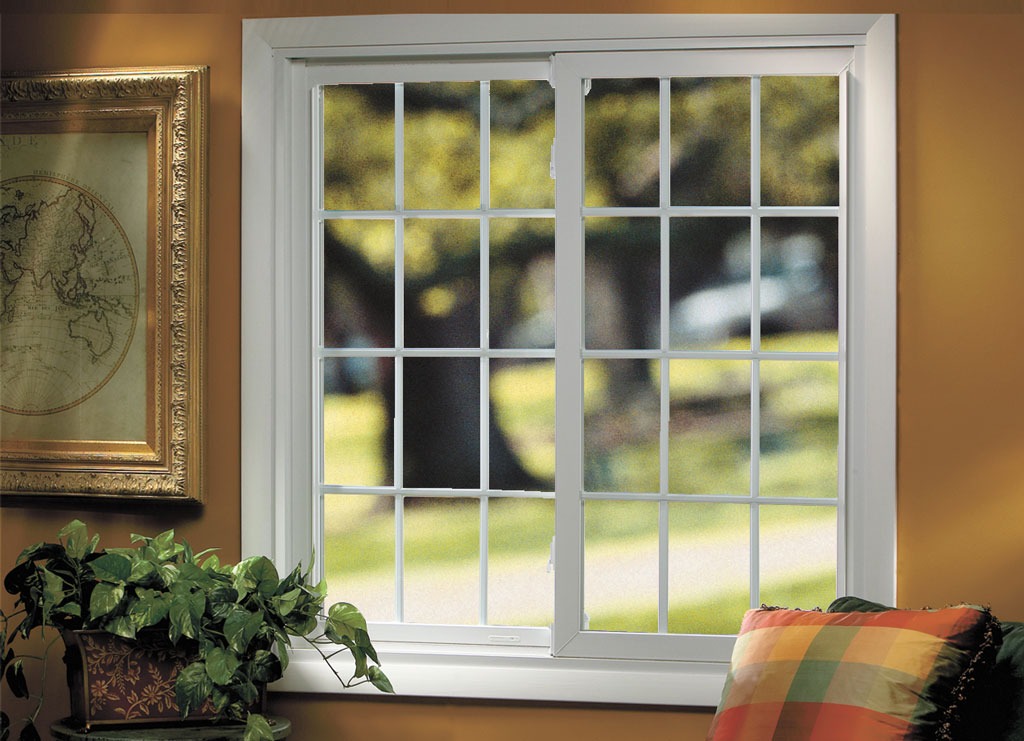 Sunny window with plants and framed map