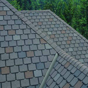 Close-up of gray shingle roof with trees background.